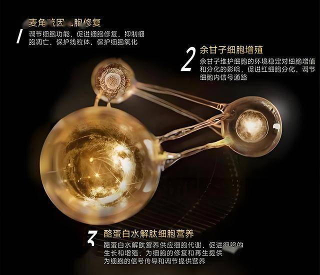 IC外汇开户市政协机关党组机构开展政德教育培训活动